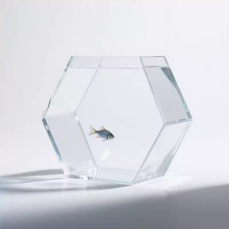 Acrylic Pentagon Shaped Aquarium 40cm - Customacrylicpro Premium Acrylic Product